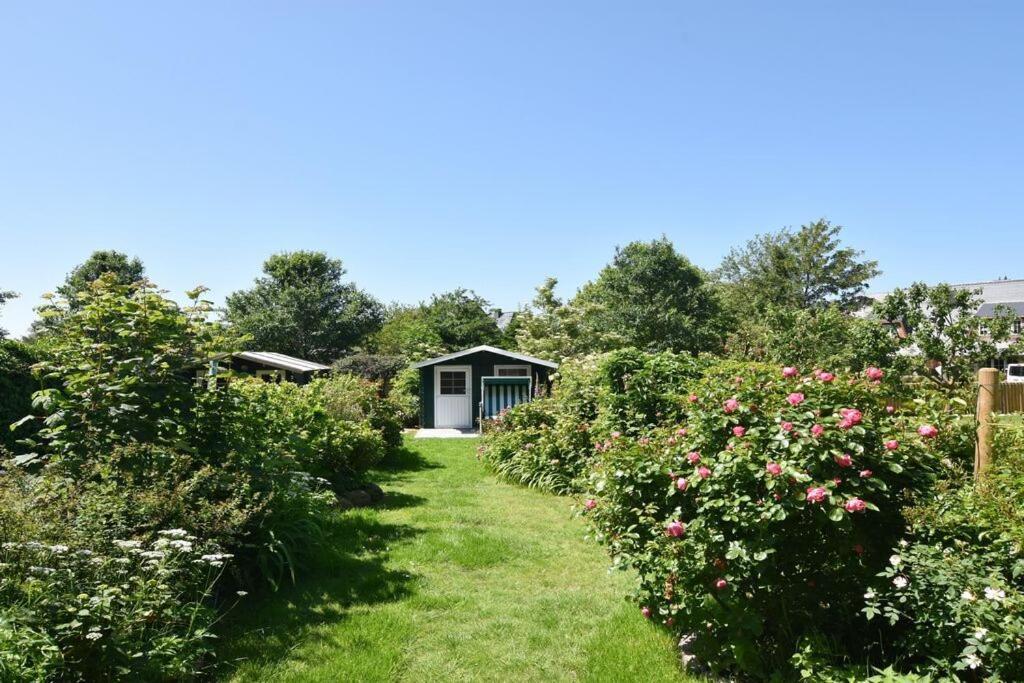 Ferienhaus Barke 17 *